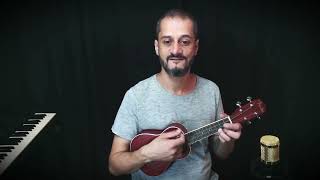 Try Everything Filme Zootopia  AULA DE UKULELE [upl. by Aromas]