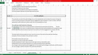 AUDIT STRATEGY amp AUDIT PLAN [upl. by Eeramit]