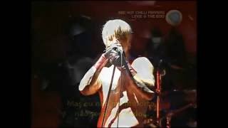 Red Hot Chili Peppers  I Could Have Lied Legendado PT BR [upl. by Nnaynaffit]