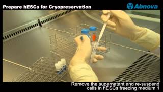 Prepare hESCs for Cryopreservation [upl. by Eldwen]