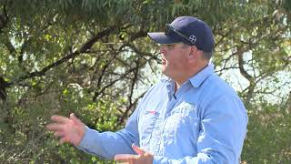 Priority Weeds of the Murray amp Riverina  African boxthorn [upl. by Olinde]