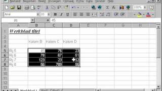 EXCEL Les 11 randen maken om cellen [upl. by Dayle978]