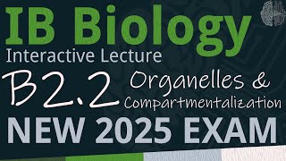 NEW 2025 EXAM  IB Biology B22  Organelles amp Compartmentalization SLHL  Interactive Lecture [upl. by Anwad]