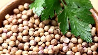 Preet Kamal Stay Healthy is live  8 Reasons To Drink Coriander Seeds Tea Every Morning [upl. by Aydni390]