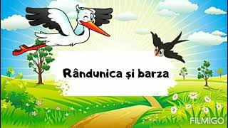 Rândunica și barza prezentare mod de viață hrană adăpost înmulțirecunoasterea mediului [upl. by Aland]