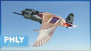 100 HISTORICAL WW2 DUCK GUN Sound Effects War Thunder as real as it gets [upl. by Kaylee]