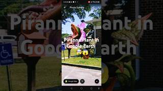 Piranna Plant in Google Earth 😱🤯 shorts GoogleEarth [upl. by Indys]