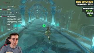 Using ONLY amiibos to beat Breath of the Wild Part 23 [upl. by Birecree]