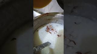 Sabudane ki kheer [upl. by Yk]