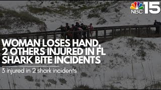 Deputies Woman loses hand 2 others injured in Walton County FL shark bite incidents  NBC 15 WPMI [upl. by Gnek]