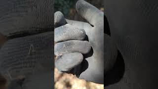 I Thought I found a Trime treasure treasurehunting metaldetecting silver coin find vlog [upl. by Nimajnab]