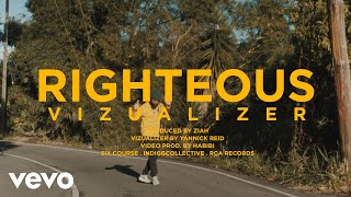 Protoje  Righteous Visualizer [upl. by Cullen943]