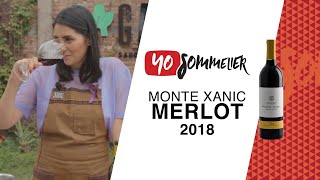 Monte Xanic Merlot 2018  YoSommelier [upl. by Amalberga]