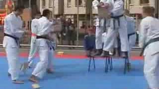 Karate Tameshiwari Ishikawa [upl. by Newby]