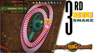 Little Big Snake Gameplay 3 [upl. by Ventura]