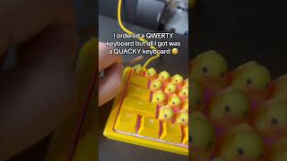 QUACKY KEYBOARD GO CRAZY keyboard [upl. by Blayne]