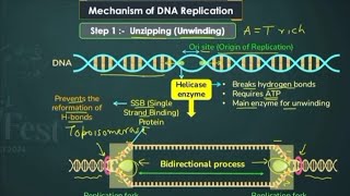 Molecular Basis of Inheritance class 12th part 3 [upl. by Nidnerb799]