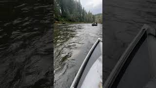 Fishing for salmon on the Sol Duc River out of Forks in the Hoh Rainforest coho hohrainforest [upl. by Anwahsiek111]