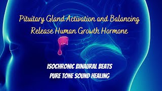 Pituitary Gland Activation and Balancing  Isochronic Binaural Beats  Release Human Growth Hormone [upl. by Tidwell]