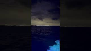 Icon of the Seas’ wake at night iconoftheseas cruiseship royalcaribbeancruiseship [upl. by Annaeoj529]