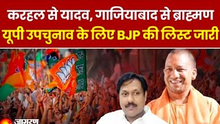 up BJP candidate lest  यूपी उपचुनाव के लिए बीजेपी ने जारी की अपनी candidate list । upelection2024 [upl. by Kcarb]