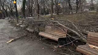 MONTREAL ICE STORM  La Fontaine Park April 2023 [upl. by Gnap]