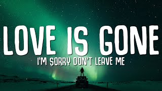 SLANDER  Love is Gone Lyrics ft Dylan Matthew Acoustic quotIm sorry dont leave mequot [upl. by Lein617]