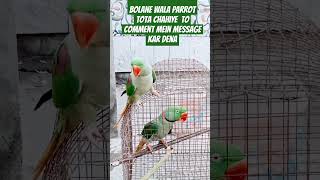 bolane wale Tote original pahadi tota hai yahbirds youtubeshort 🦜🦜🦜🦜🦜🦜🦜🦜🦜🦜🦜😍😍😍 [upl. by Nevar]