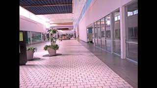 wallows  1980s horror film II playing in an empty mall [upl. by Danaher523]