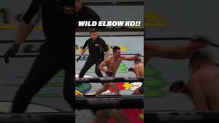 This is the WILDEST Elbow Knockout in UFC History mma shorts [upl. by Eceinehs455]