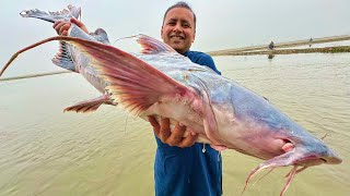 A Huge Fish Cooking in Village  Biggest Fish Cutting  Mubashir Saddique  Village Food Secrets [upl. by Brackett]