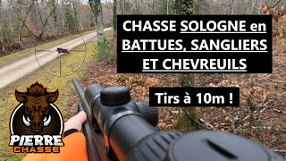 CHASSE SOLOGNE en BATTUES  TIRS DE 4 SANGLIERS et 2 CHEVREUILS à 10m [upl. by Madonna157]