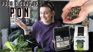 Why You Should Use PON 🪴 Pros amp Cons of SemiHydroponics [upl. by Wiseman]