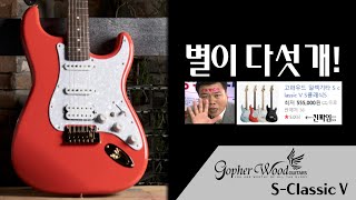 기타 리뷰 Gopherwood SClassic V  고퍼우드  스트랫  스트라토캐스터  입문용 기타  목소리 좋은 👍  가성비 기타 [upl. by Suivatra]