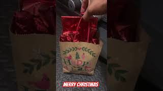 DIY Grab Bag “Advent Calendar”  Small Christmas Budget [upl. by Chun]