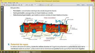 Electrophysiologie [upl. by Tap941]