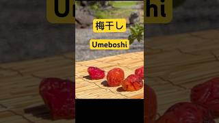 How to make Japanese sour plum Umeboshi at home [upl. by Ferrigno]