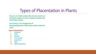 Types of Placentation In Plants [upl. by Arrimat]