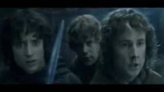 Lord of the Rings  Fellowship of the Vuvuzela Portuguese Subs [upl. by Ijan844]