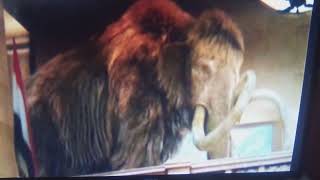 Woolie The Mammoth With Danny DeVito Voice [upl. by Maurilia]