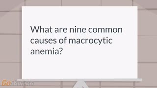 What are the causes of macrocytic anemia [upl. by Odlo]