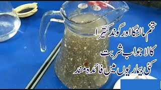 Gond Katira aur Tukh Malanga Sharbat Recipe By Food ParkSummer Drinks Recipe [upl. by Althea]