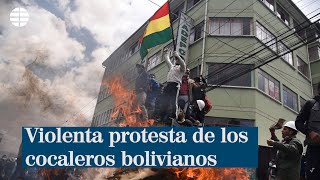 Violenta protesta de los cocaleros bolivianos [upl. by Silenay688]