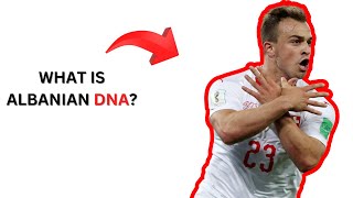 Albanian DNA breakdown explained [upl. by Sualkin555]