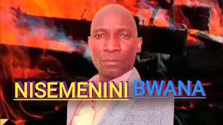 NISEMEE NINI BWANAofficial music audio [upl. by Lobiv376]