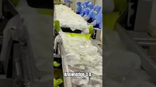 Aloe vera gel making process [upl. by Brandt]