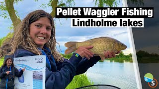 Pellet Waggler Fishing  Get a bite every Cast [upl. by Ecinehs]