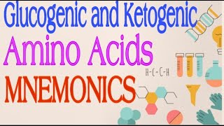 Glucogenic and Ketogenic Amino Acids MNEMONICS  Lecture 3 [upl. by Donella575]