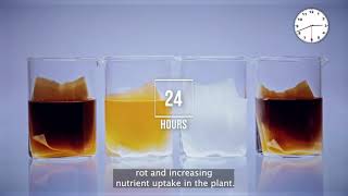 Hygrozyme Effectiveness Test Tissue Test [upl. by Hayikat]