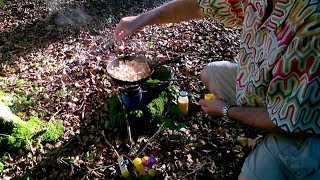 Foraging For Mushrooms And Cooking In The Woods [upl. by Wilkison]